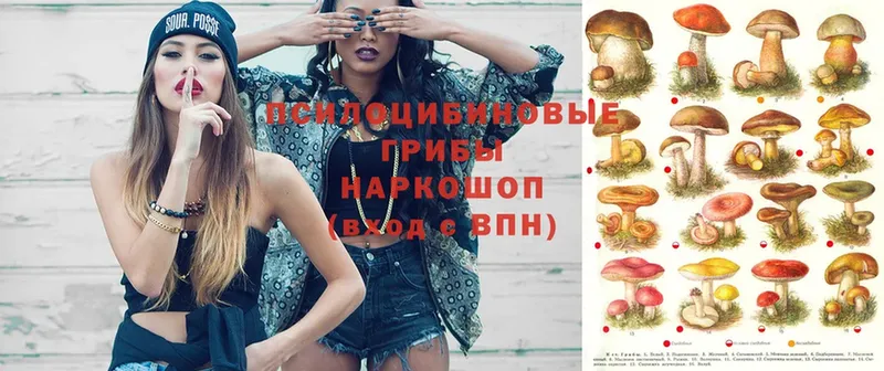 Псилоцибиновые грибы мухоморы  MEGA как зайти  Беслан  где найти  